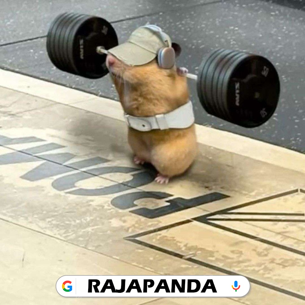 RAJAPANDA